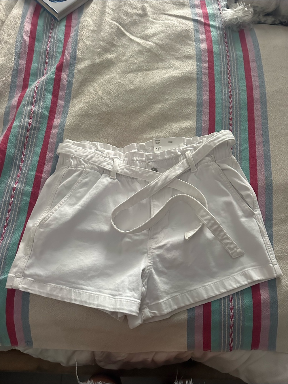 American Eagle Outfitters White Paperbag Waist Tie Shorts